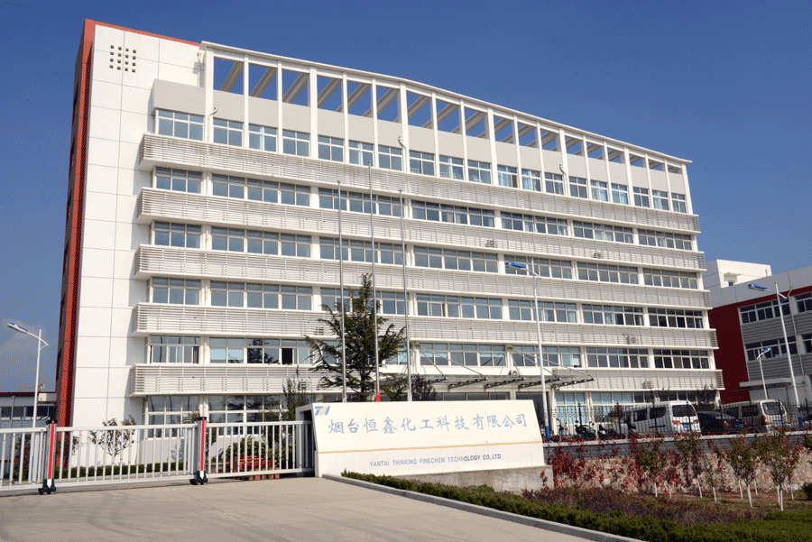恒鑫化工办公楼